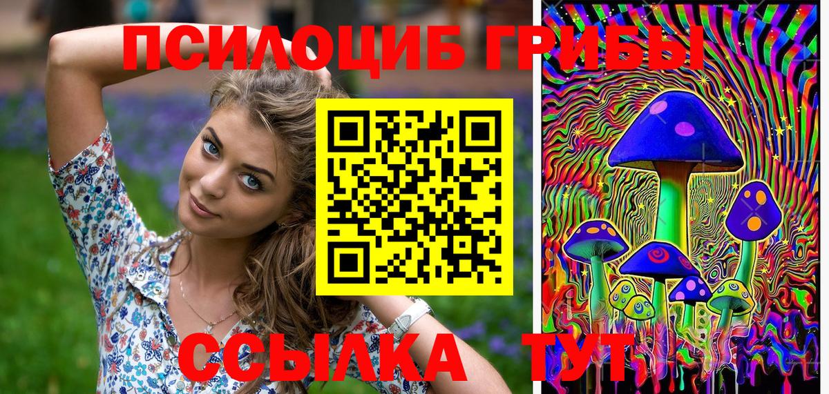 Галлюциногенные грибы Magic Shrooms  Вход с VPN  Псилоцибиновые грибы Psilocybe  Батайск 