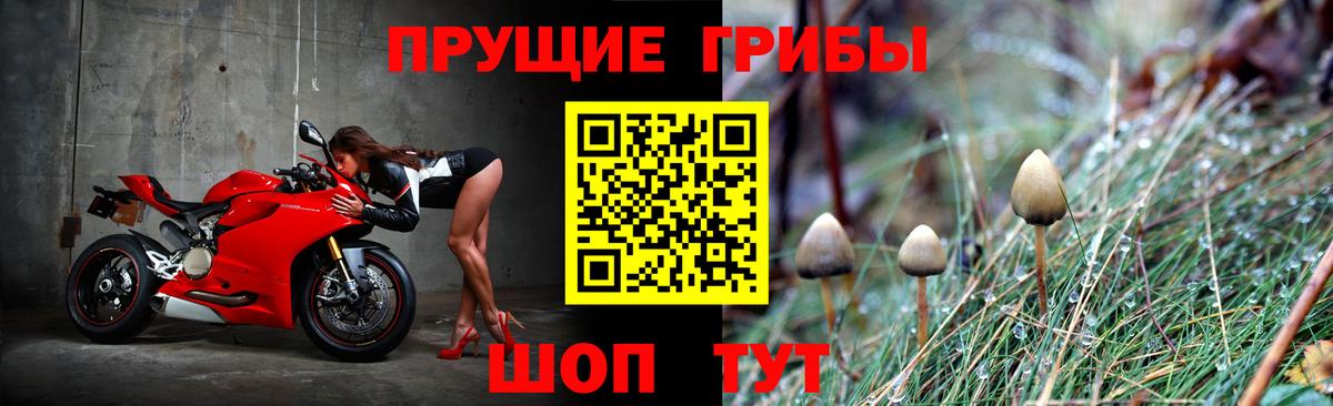 Псилоцибиновые грибы Psilocybine cubensis Батайск